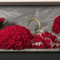 Classic roses