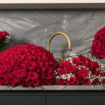 Classic roses