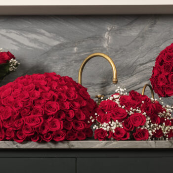 Classic roses
